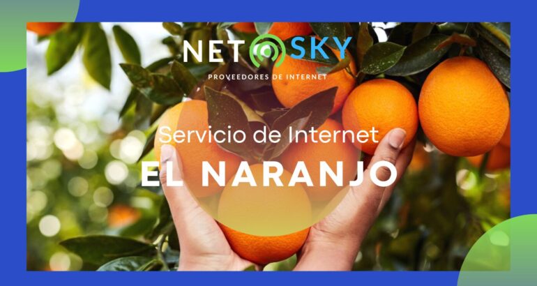 Internet El Naranjo: Velocidad y Economía