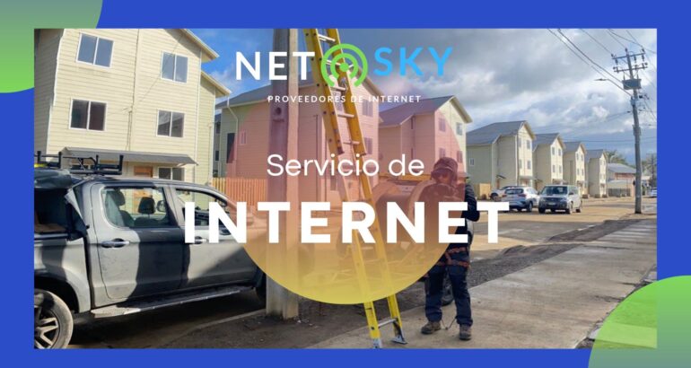 internet netsky